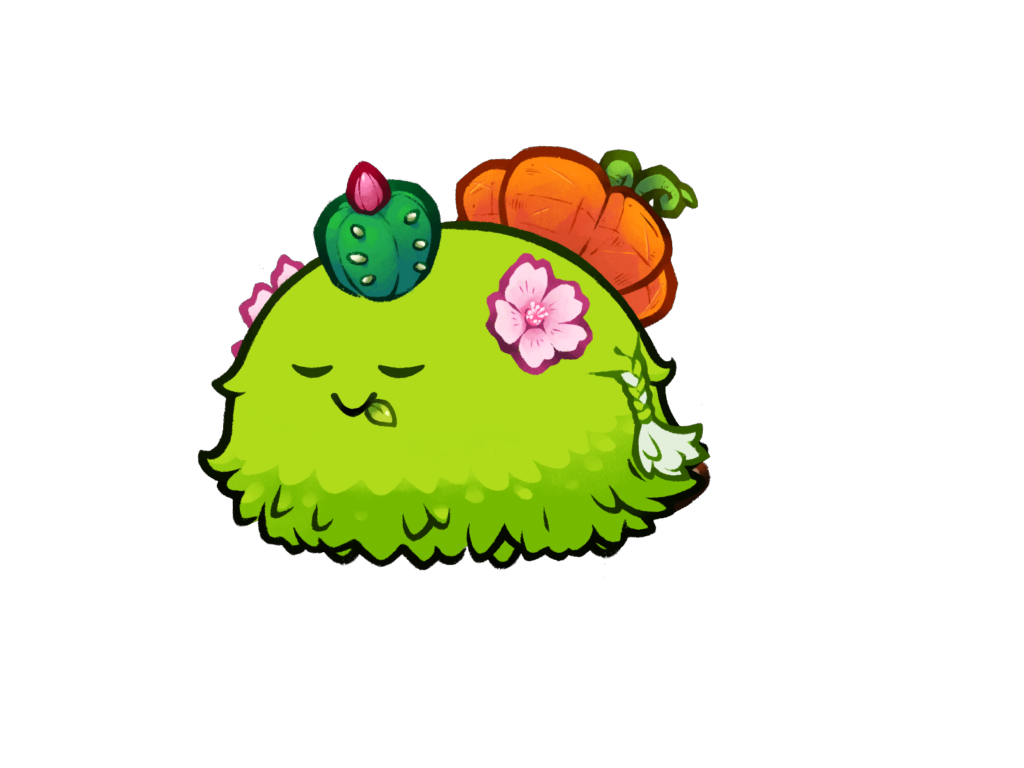 Axie 12065048