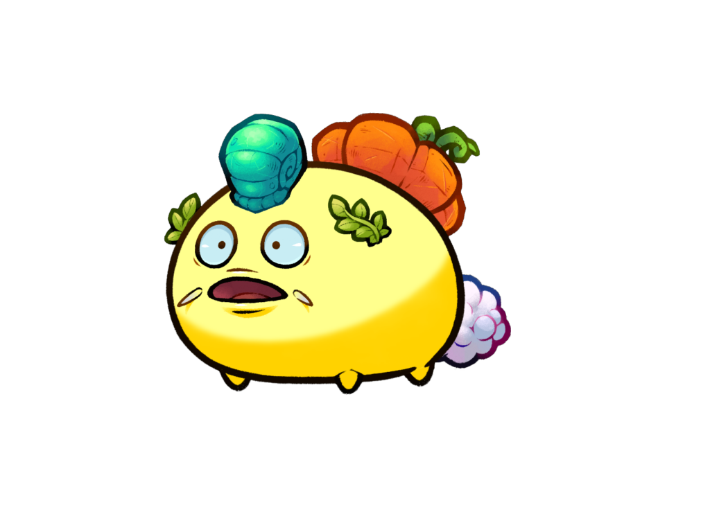 Axie 12065377