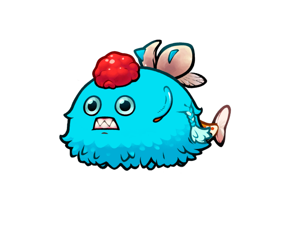 Axie 12065697