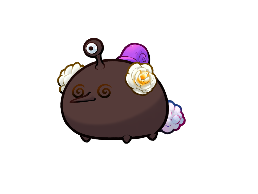 Axie 12073565