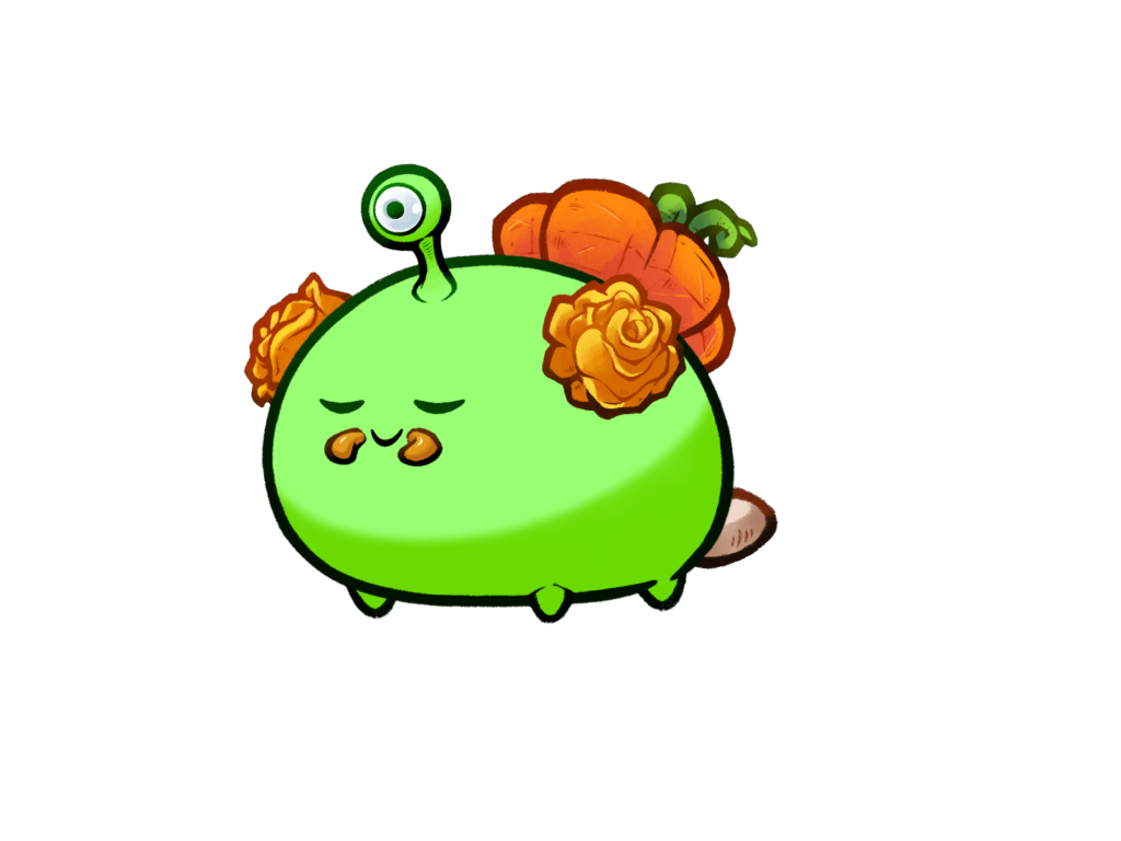 Axie 12079894