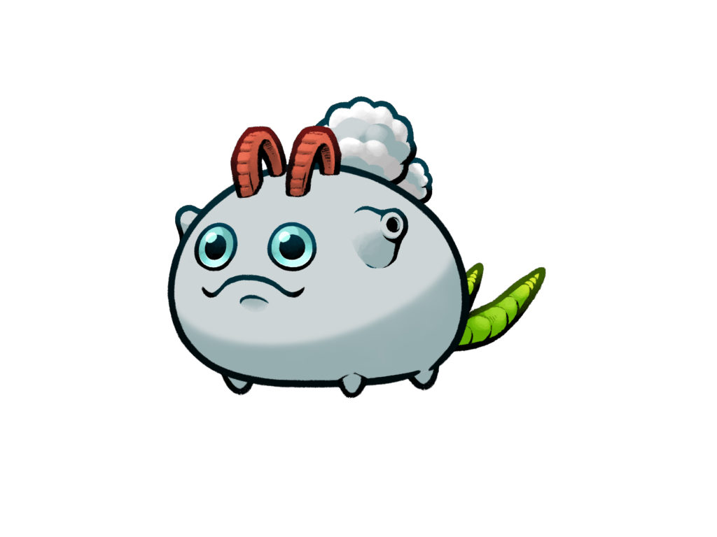 Axie 12080477