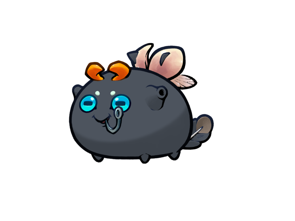 Axie 12095062