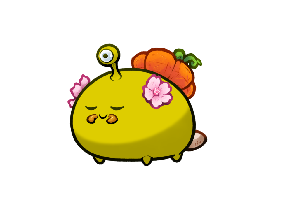 Axie 12101561