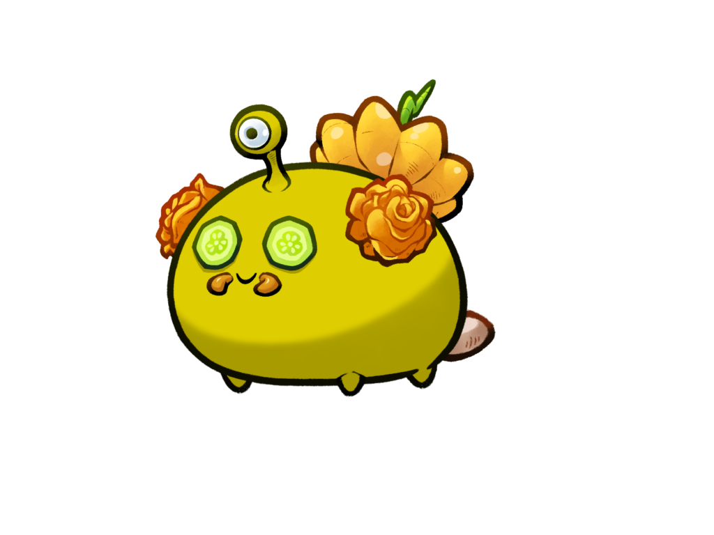 Axie 12110004
