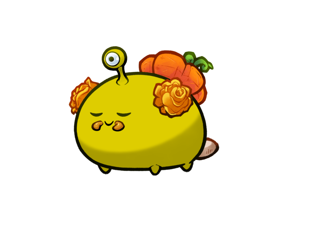 Axie 12112085