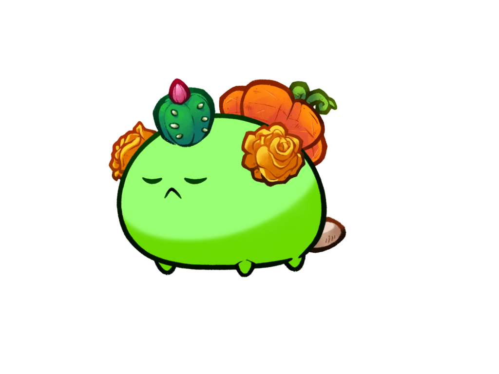 Axie Image