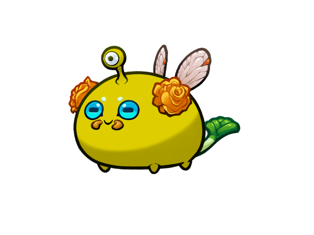 Axie 12122018