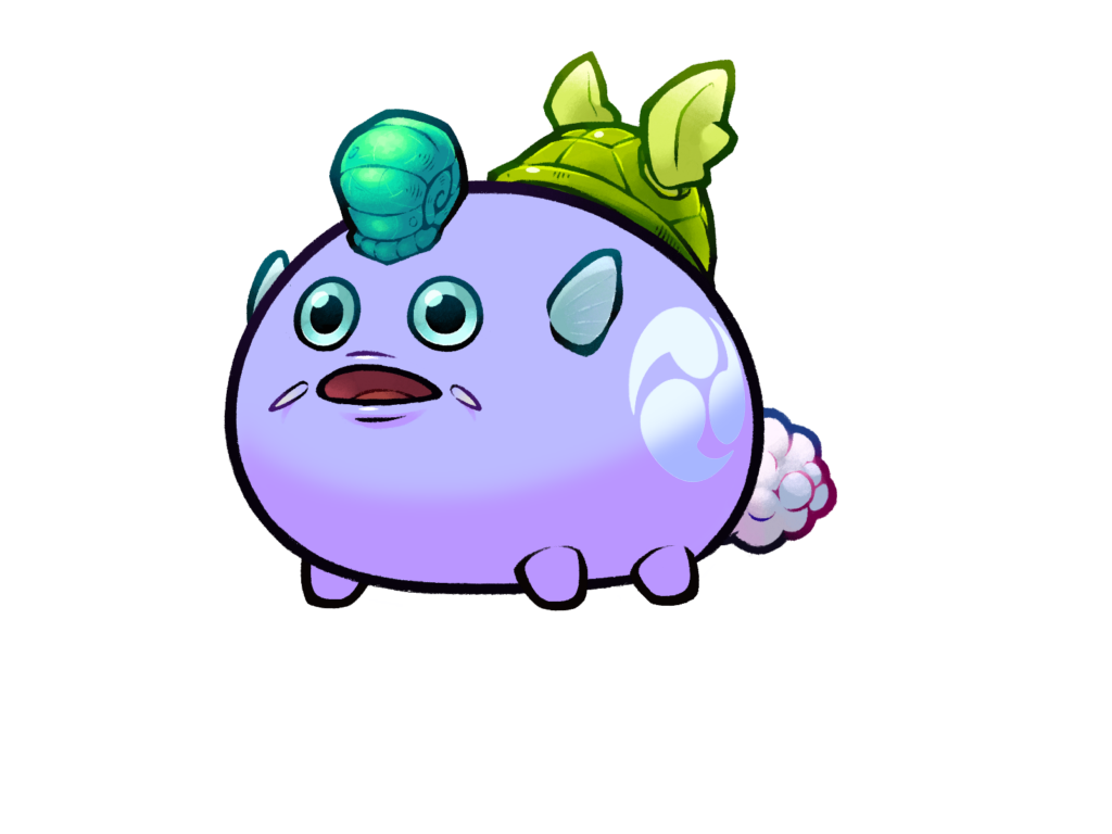 Axie 12132104