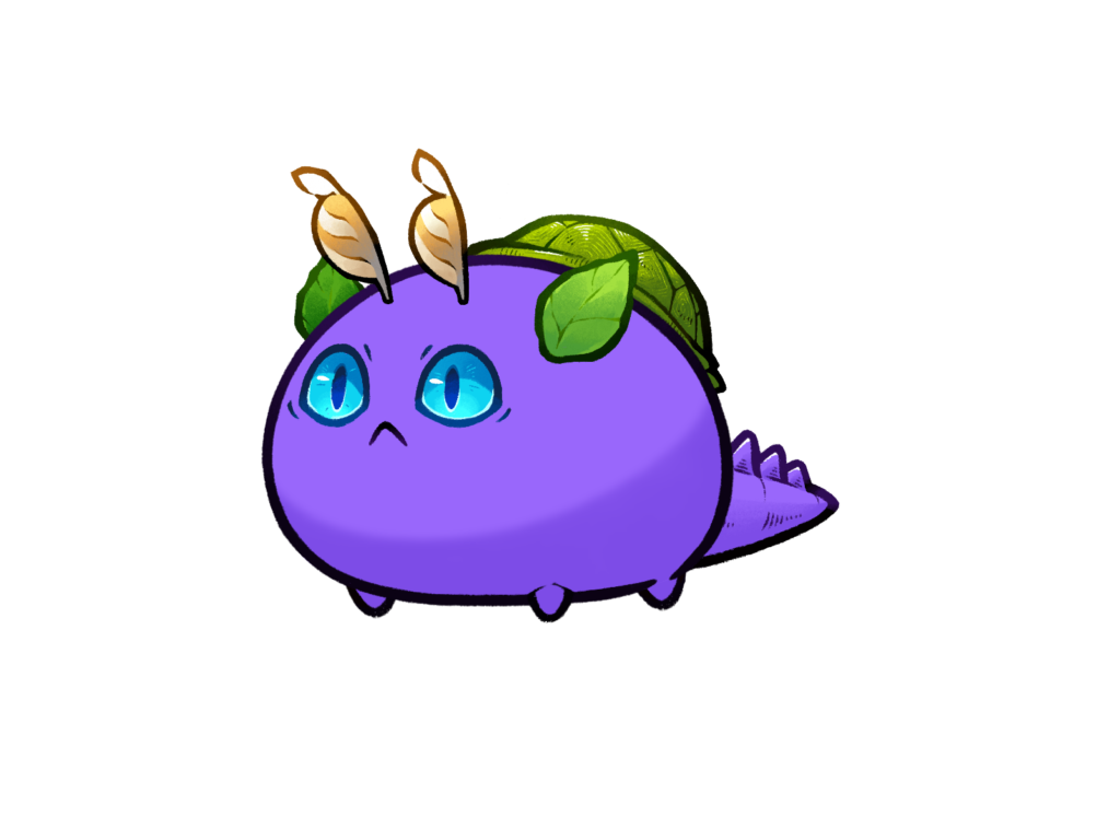 Axie 12146102