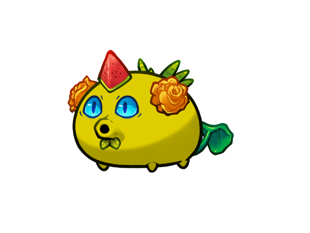 Axie Image