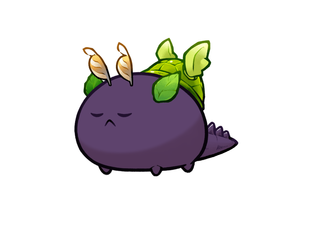 Axie 12146672