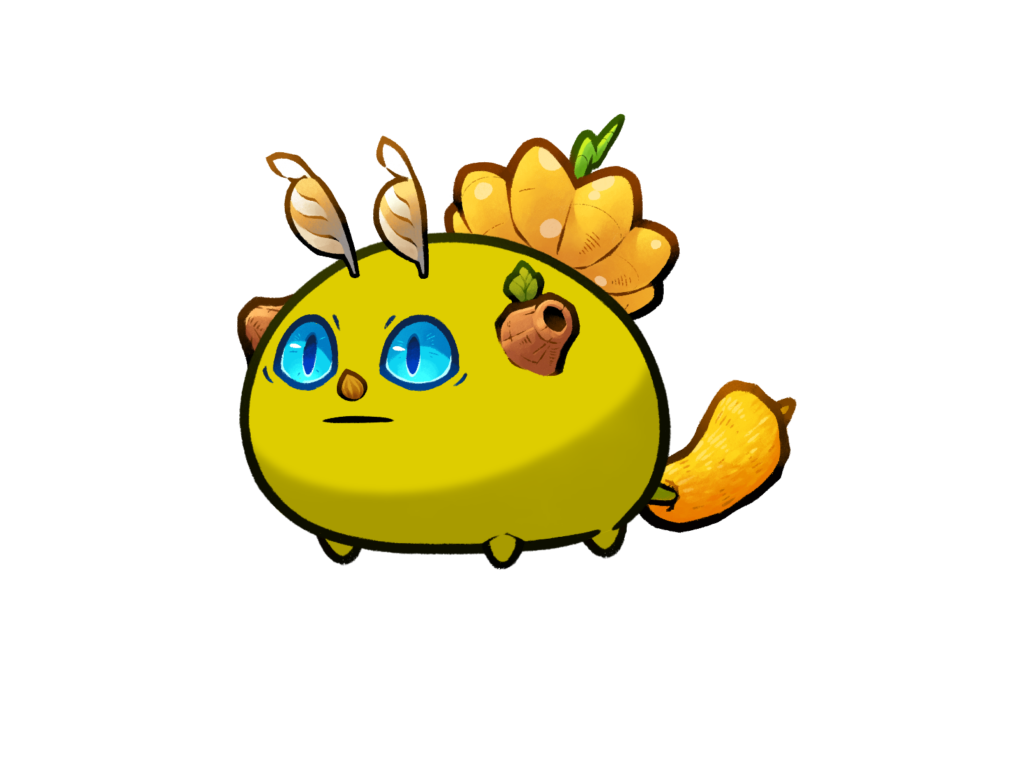 Axie 12149039