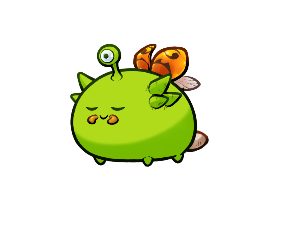 Axie 12161998