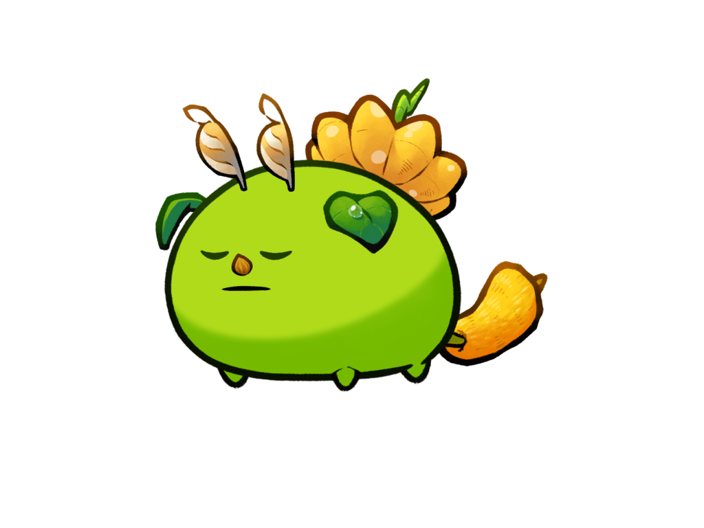 Axie 12163138