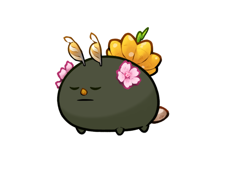 Axie 12163403