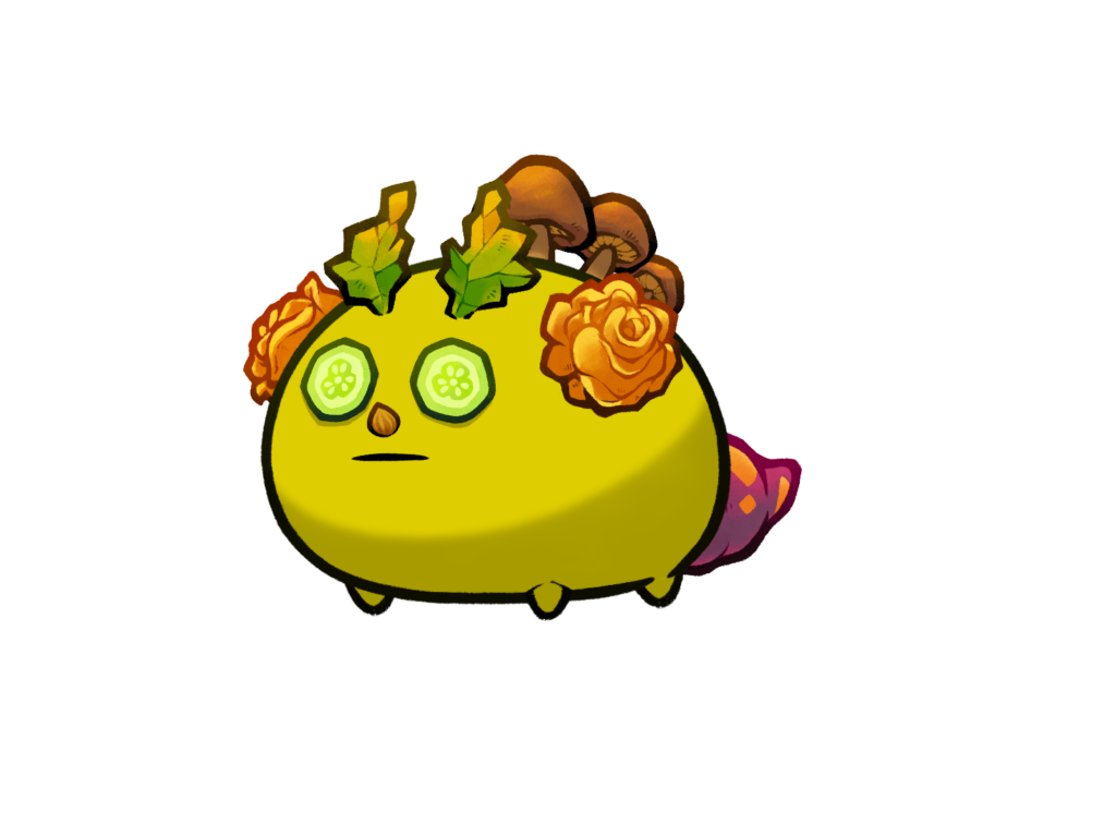 Axie Image
