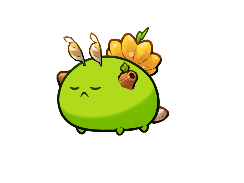 Axie 12166095