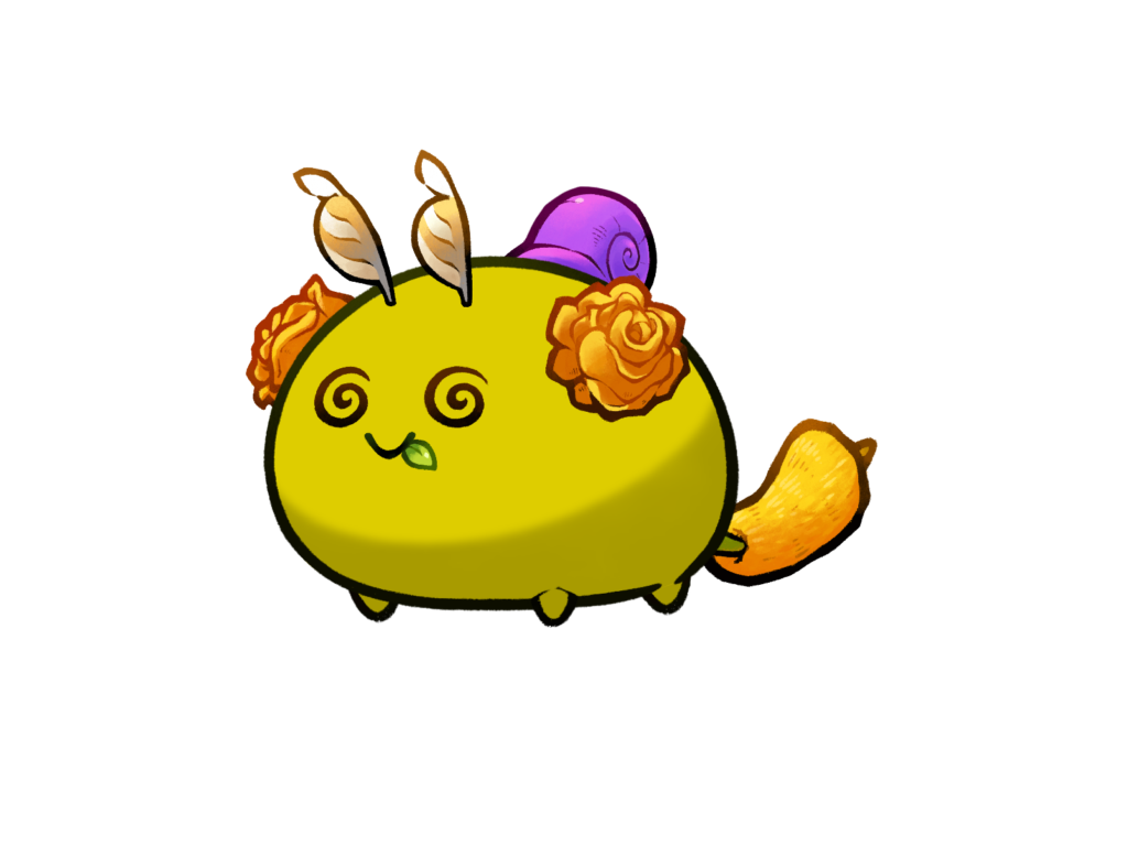 Axie Image