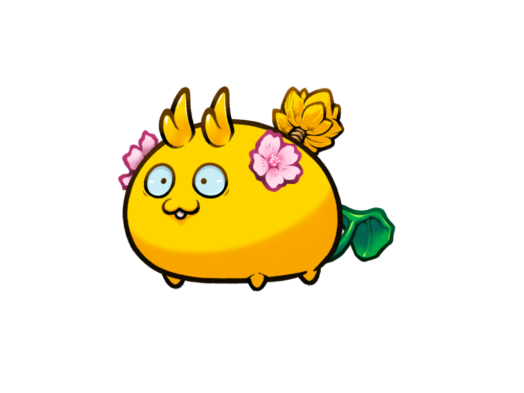 Axie Image