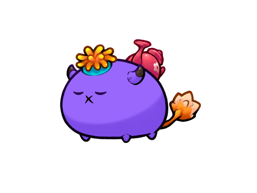 Axie Image