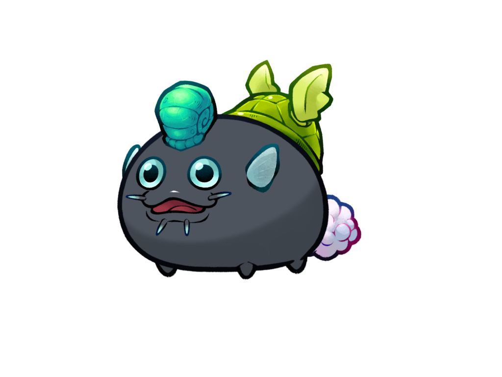 Axie 12205040