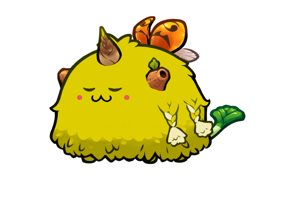 Axie 12206061