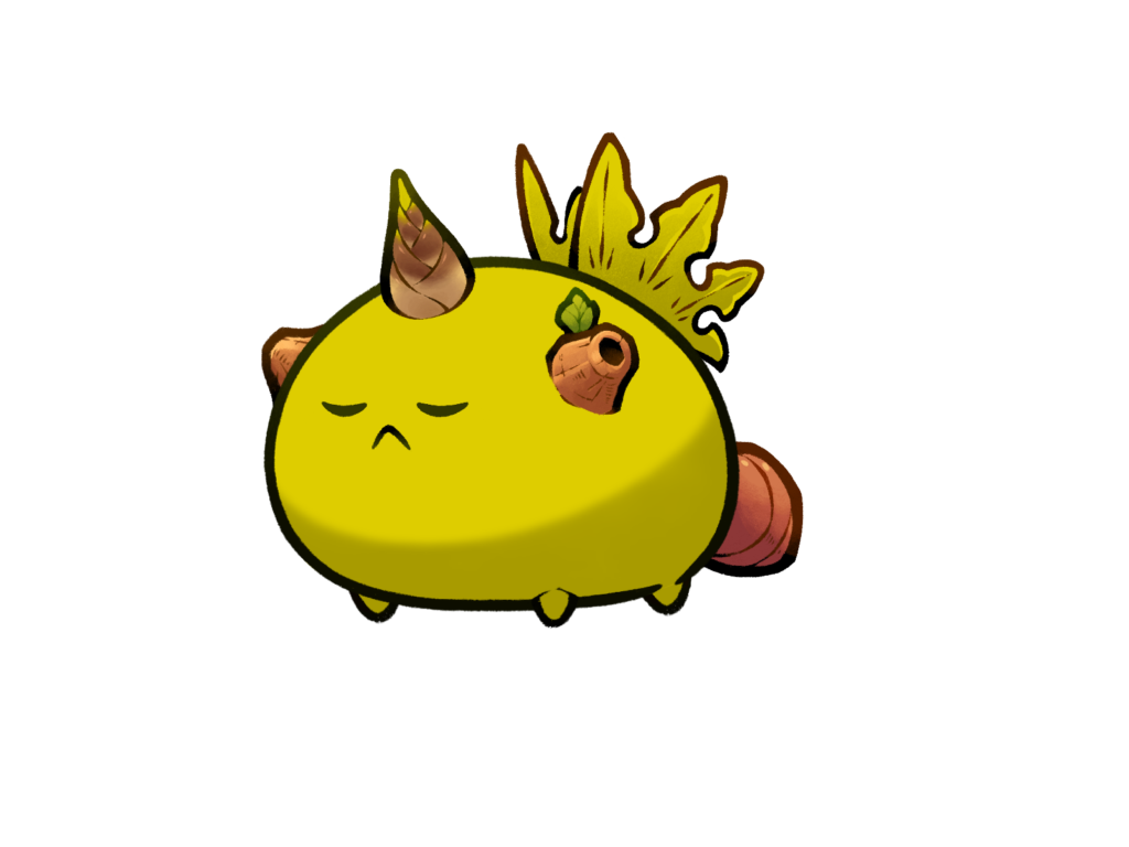 Axie 12207663