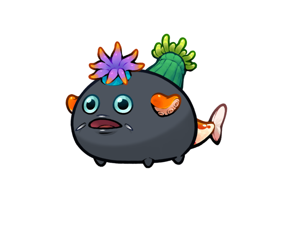 Axie 12212605