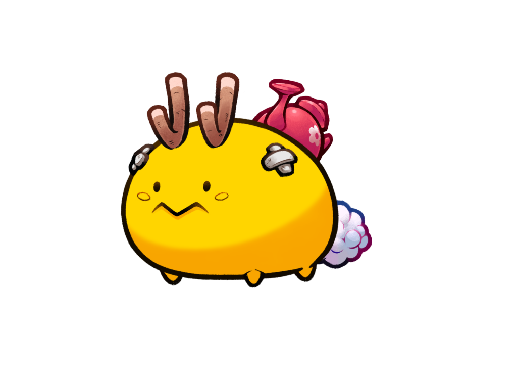 Axie Image