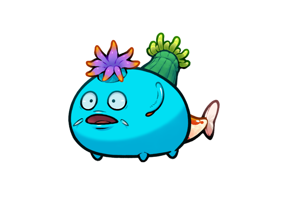 Axie 12216189