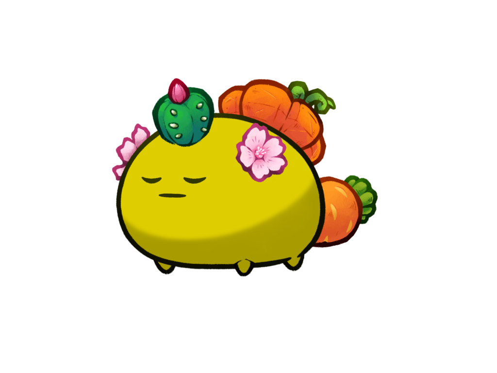 Axie Image