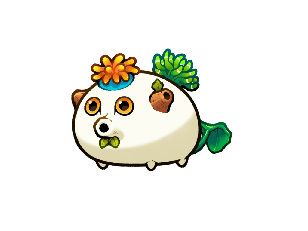 Axie Image