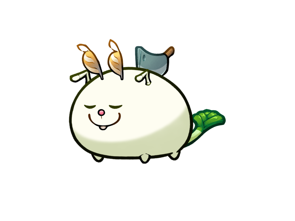 Axie 12242132