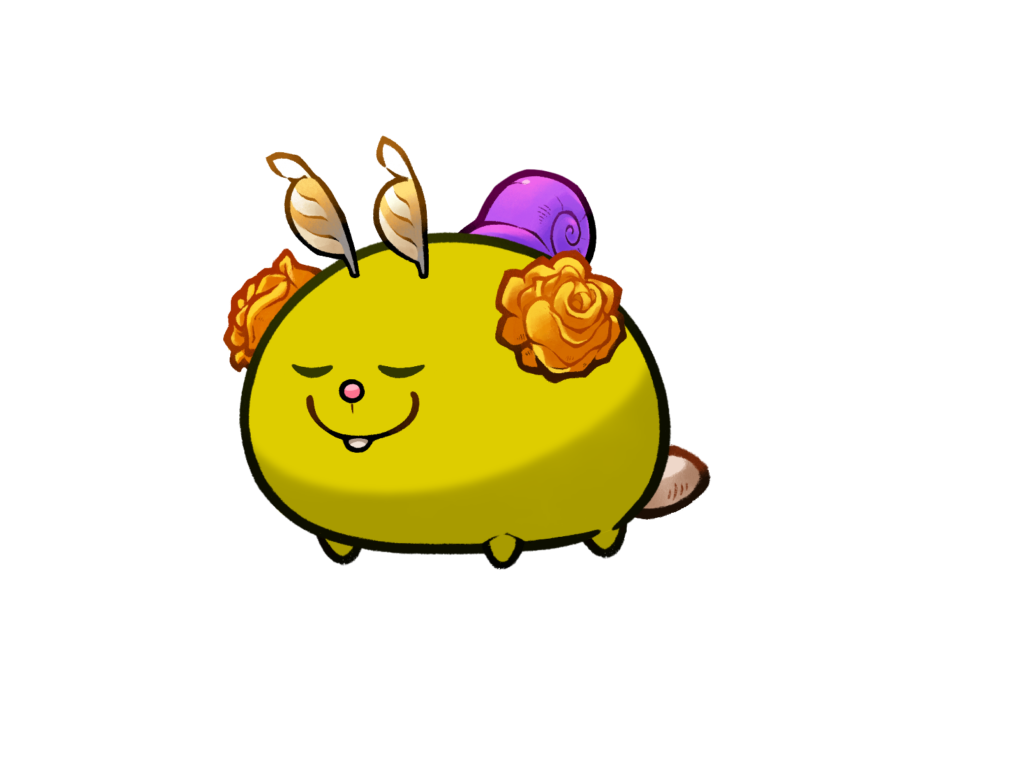 Axie 12242362