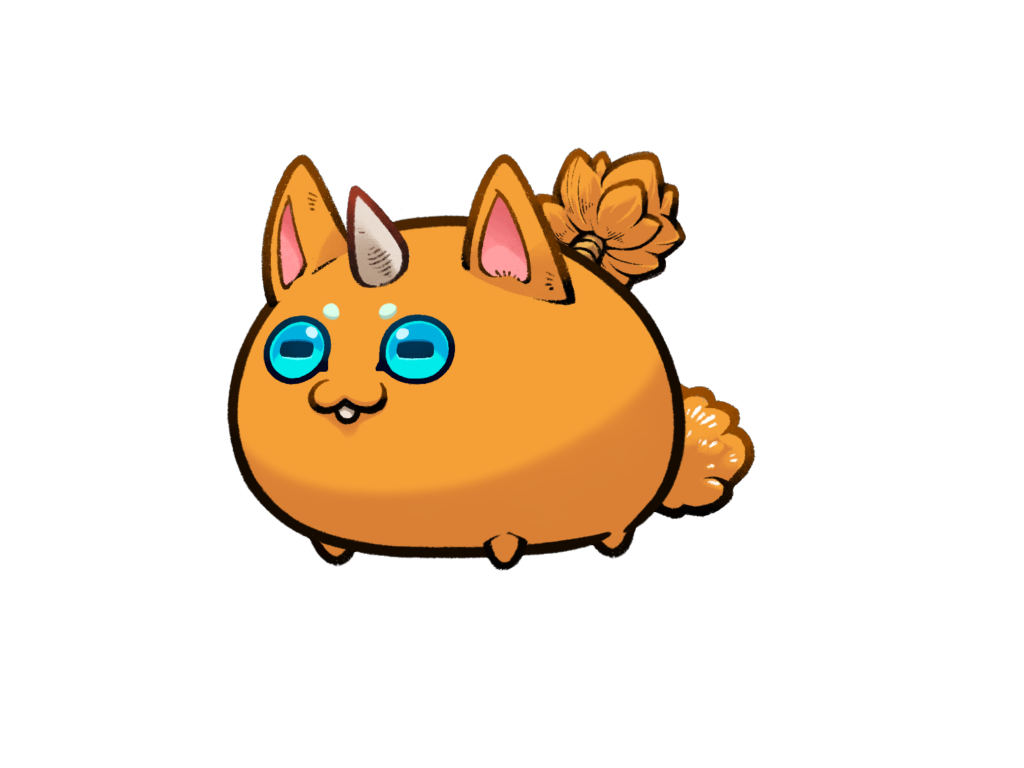 Axie 1264304