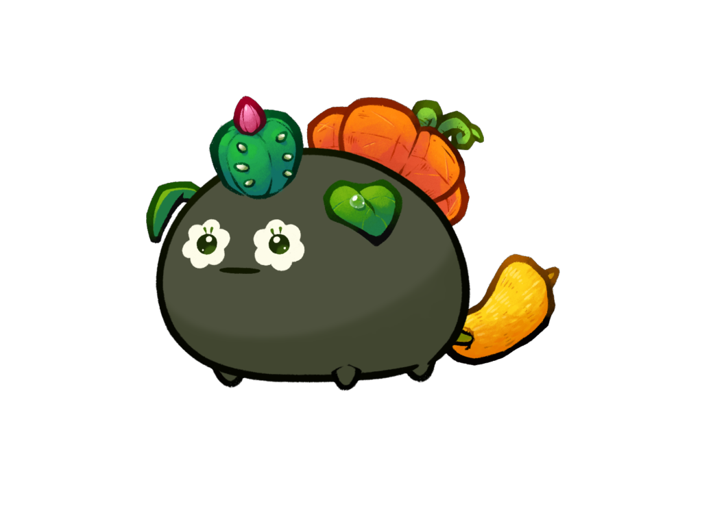 Axie Image