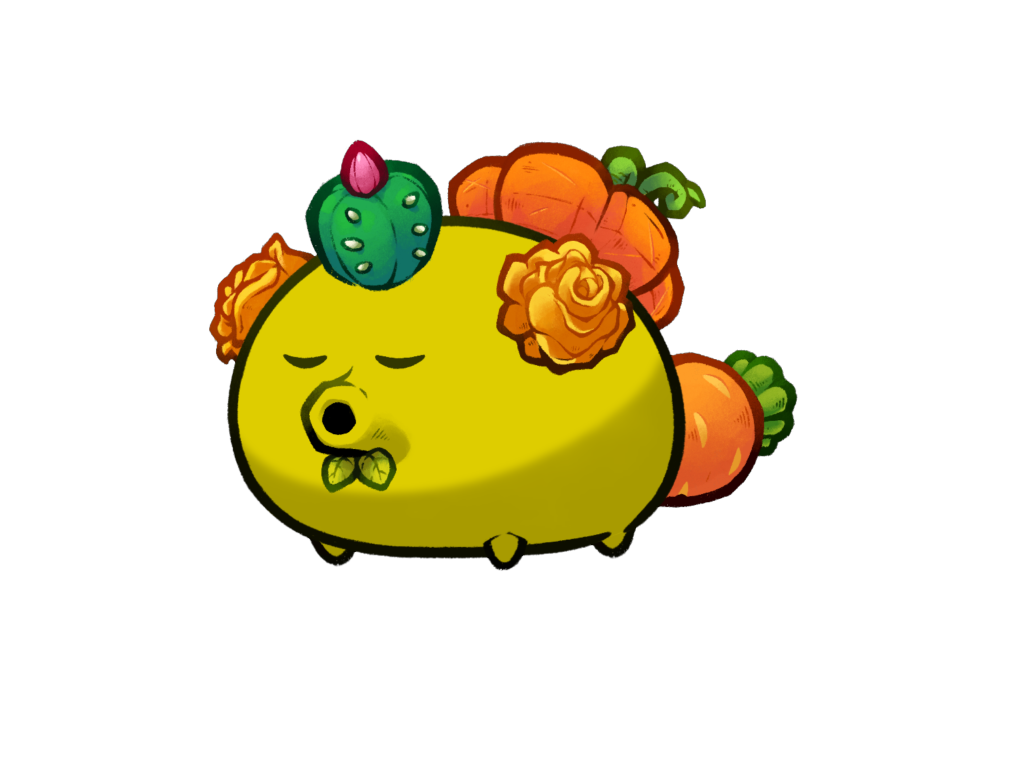 Axie Image