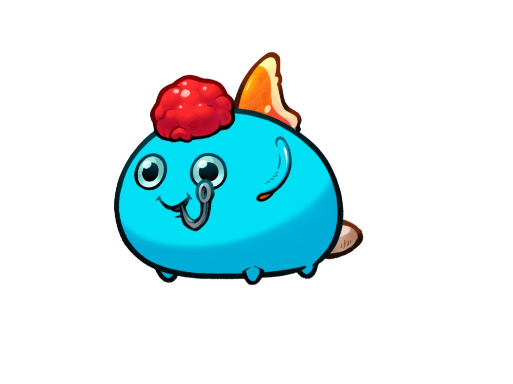 Axie 1362349