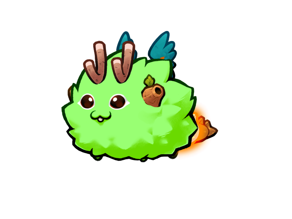 Axie 138005