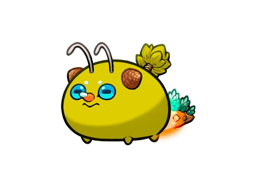 Axie 140240