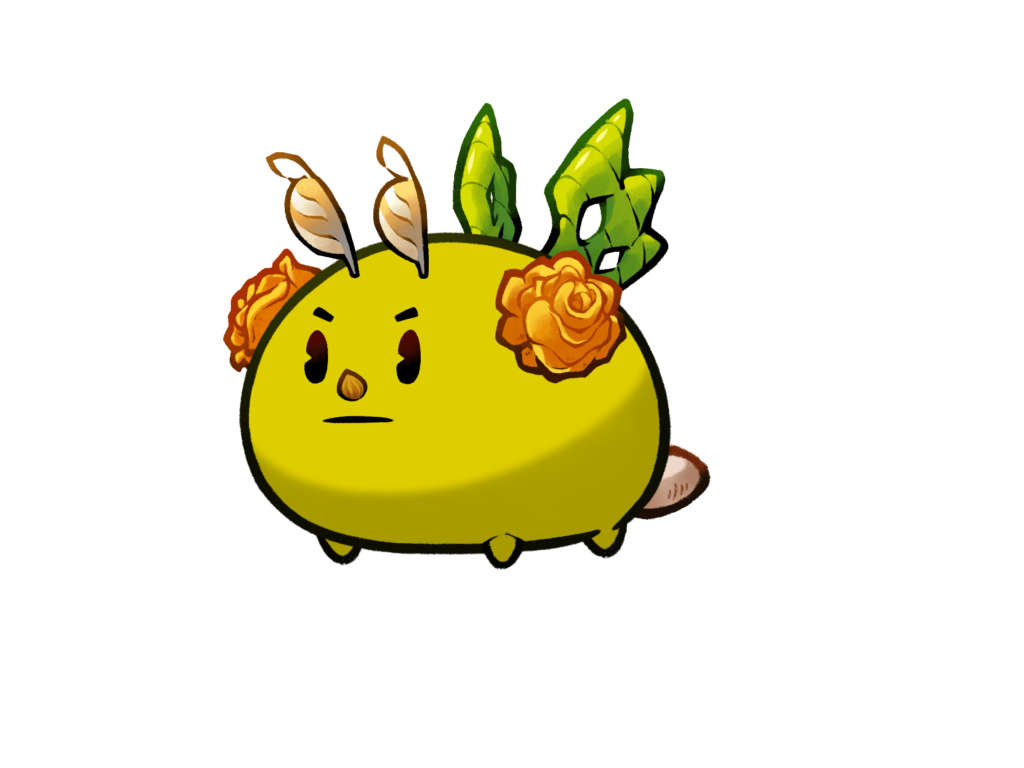 Axie Image