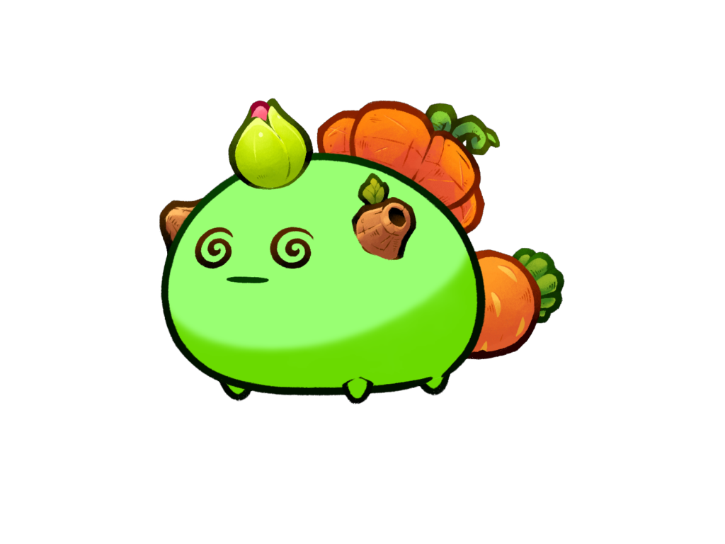 Axie 1607202