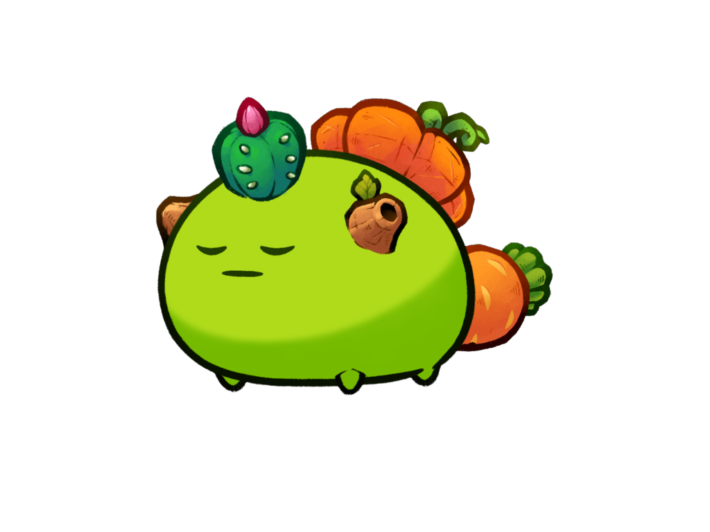 Axie 1703540