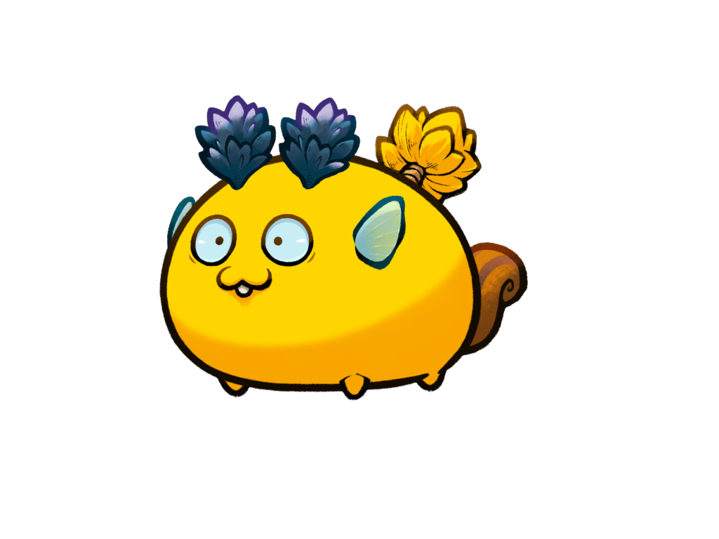 Axie Image