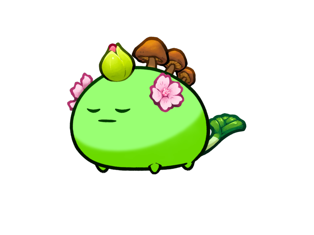 Axie Image