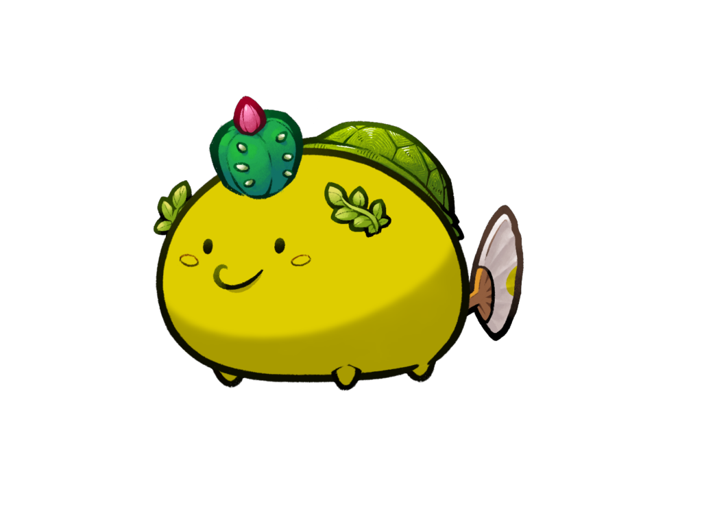Axie Image