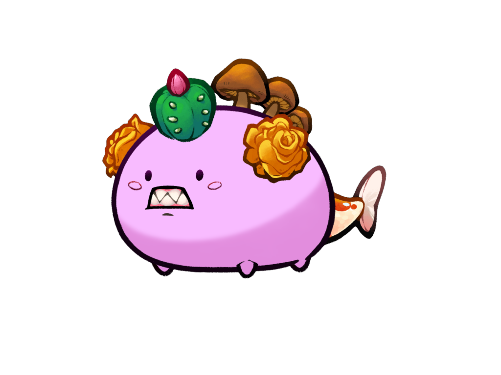 Axie Image