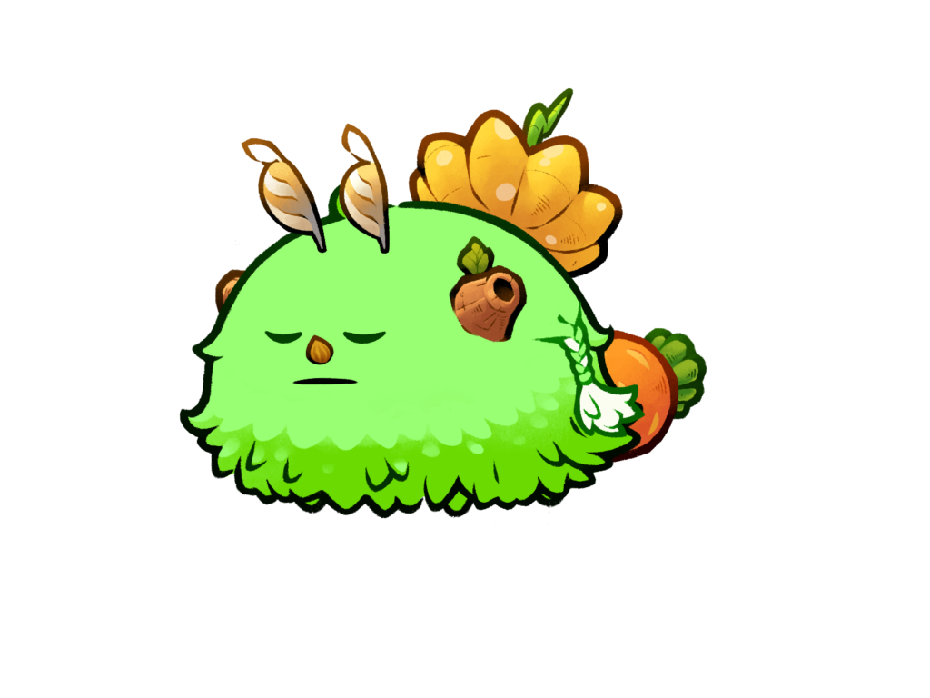Axie 1973027