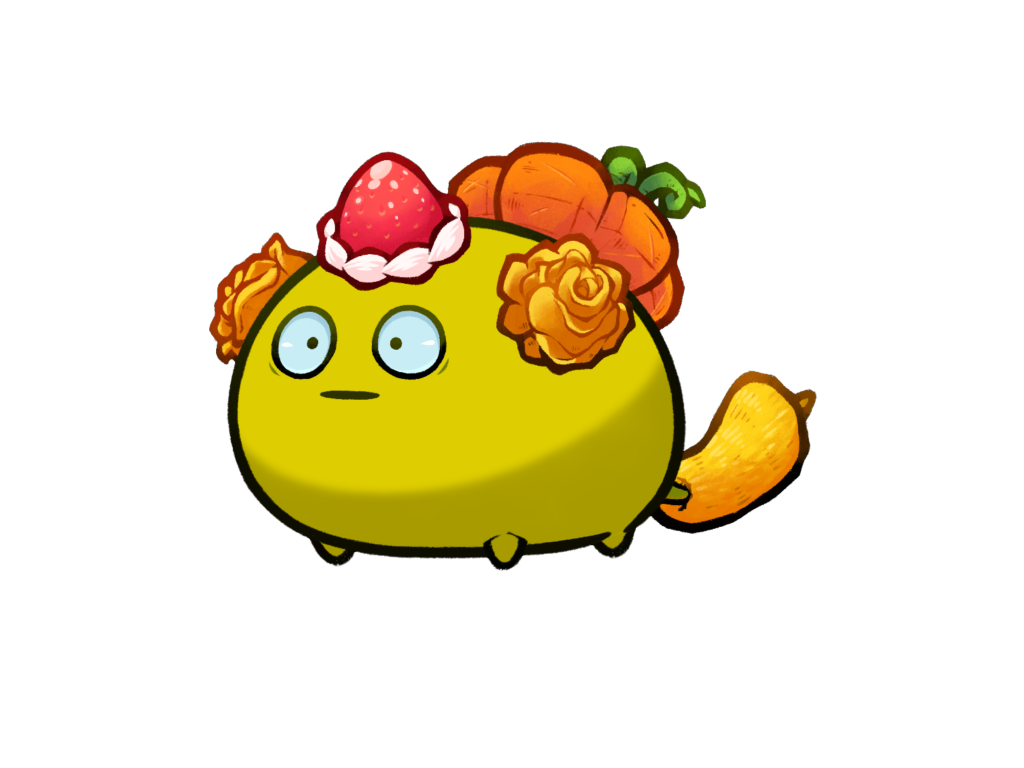 Axie 11284982 